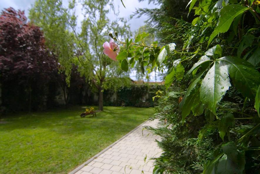 El Molino Villa Nieva  ภายนอก รูปภาพ